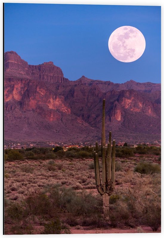 Dibond - Volle Maan in Nationaal Bos in Arizona - Amerika - 40x60cm Foto op Aluminium (Wanddecoratie van metaal)