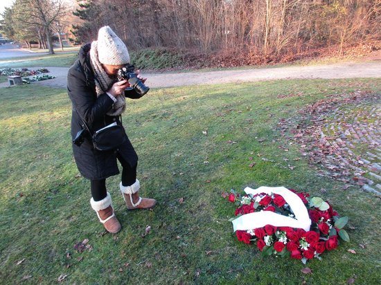 Vlinder in Amsterdam