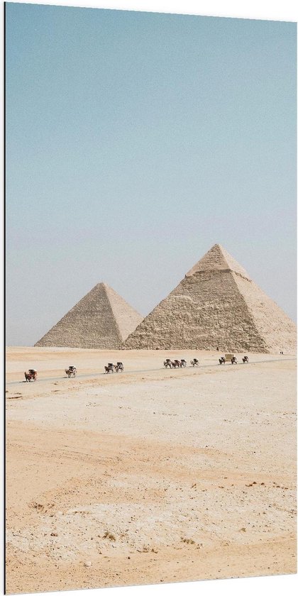Dibond - Piramides met Kamelen in Egypte - 100x200cm Foto op Aluminium (Met Ophangsysteem)