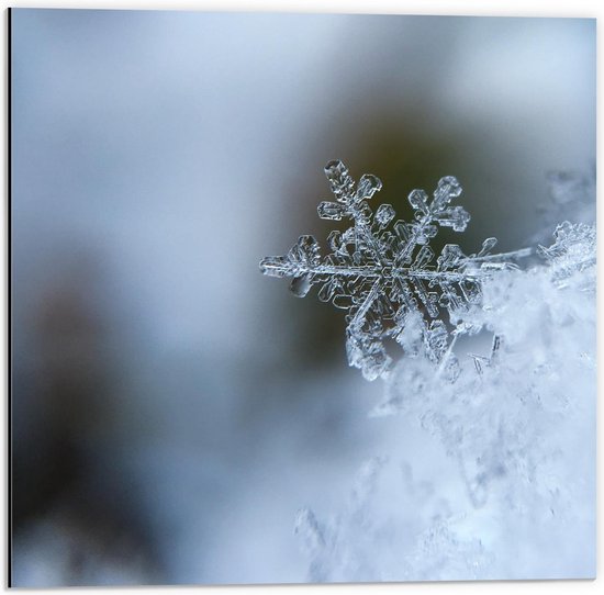 Dibond - Sneeuwvlok - 50x50cm Foto op Aluminium (Met Ophangsysteem)