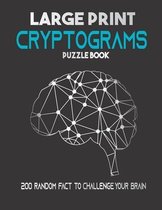 Large Print Cryptograms puzzle book