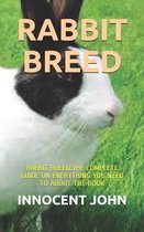 Rabbit Breed: Rabbit Breed