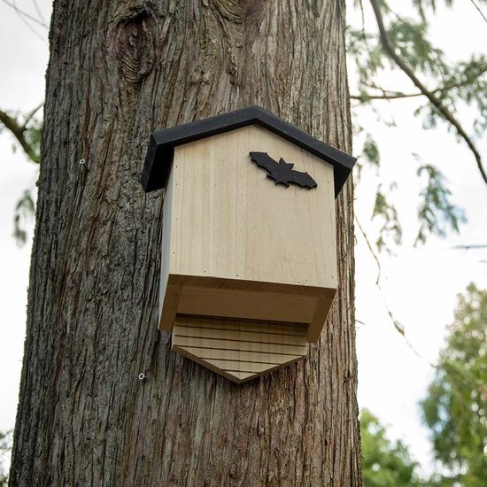 Boîte à chauves-souris Arundel