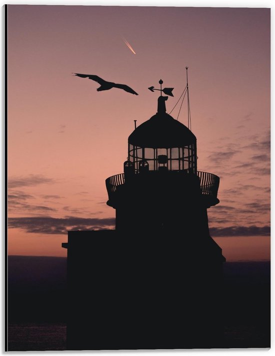 Dibond - Silhouet van Vogel bij Gebouw - 30x40cm Foto op Aluminium (Met Ophangsysteem)