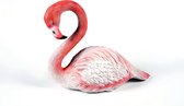 zittende  Flamingo