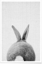 JUNIQE - Poster Konijnenstaart - monochrome foto -13x18 /Grijs & Wit