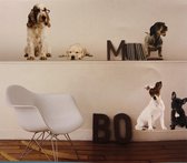 Home Stickers - Honden Muurstickers - 32 stuks