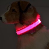 Roze LED halsband maat M | honden halsband met verlichting | Licht in donker | 3 standen LED hondenhalsband | LED hondenhalsband | LED hondenriem | LED hondenriem | Led hondentuigj