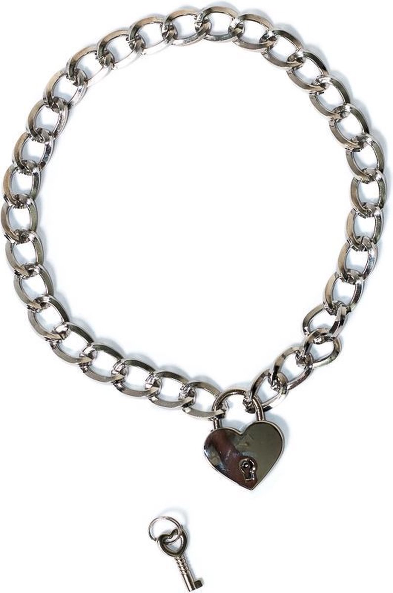 Goedkoopste Halsband - Collar - BDSM - Bondage - Luxe Verpakking - Party Hard - Embrace - Zilver