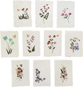 Set van 10  kaarten van handgeschept papier, met echte bloemetjes, en enveloppen