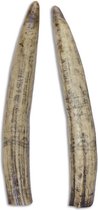 Beeld - versierde walvis tand - beeld - gegoten kunststof - 6,4 cm hoog