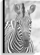 Canvas  - Voorkant Zebra Zwart - Wit - 40x60cm Foto op Canvas Schilderij (Wanddecoratie op Canvas)