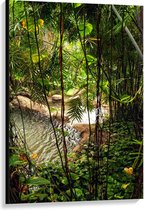 Canvas  - Tropische Planten Naast een Rivier - 80x120cm Foto op Canvas Schilderij (Wanddecoratie op Canvas)