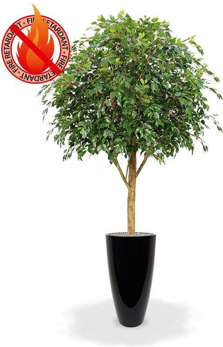 Ficus Exotica Giant kunstboom 290cm - FR - brandvertragend