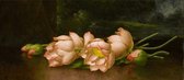 Martin Johnson Heade, Lotusbloemen met een landschapsschilderij op de achtergrond, 1885-1900 op canvas, afmetingen van dit schilderij zijn 30 X 45 CM