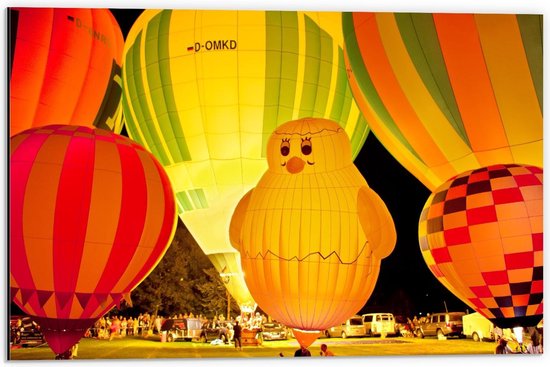 Dibond - Luchtballonnen met Eend Luchtballon - 60x40cm Foto op Aluminium (Met Ophangsysteem)