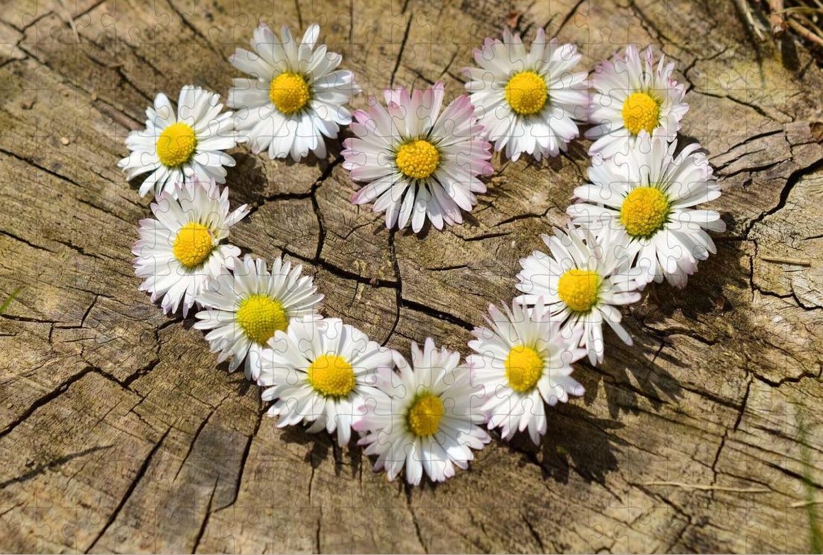 Hart met Bloemen op Puzzel - Madelief - Puzzel 252 Stukjes | bol