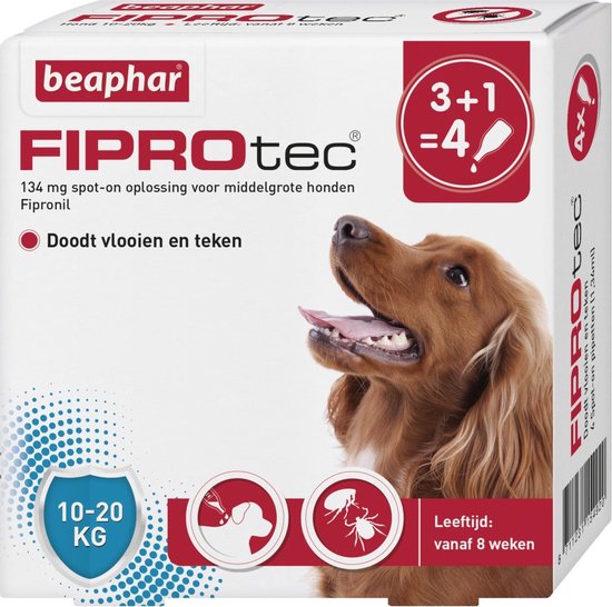 Vruchtbaar Begin gips Beaphar Fiprotec Vlooien- en Tekenmiddel Hond 10-20 kg - 4 Pipetten |  bol.com