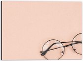 Dibond - Zwarte Bril op Roze Achtergrond - 40x30cm Foto op Aluminium (Met Ophangsysteem)