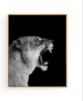 Poster Safari Leeuwin Brul - zwart / wit - 40x30cm/A3 - Safari Jungle Dieren - Muurdecoratie