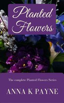 Planted Flowers Series - Planted Flowers Series