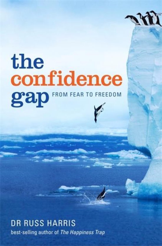 Confidence Gap - cover