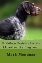 Drahthaar Training Secrets