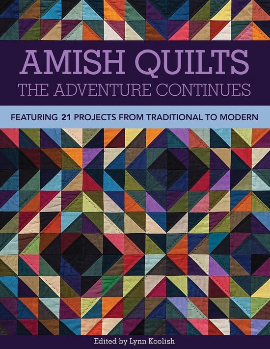 Amish Quilts-The Adventure Continues - cover