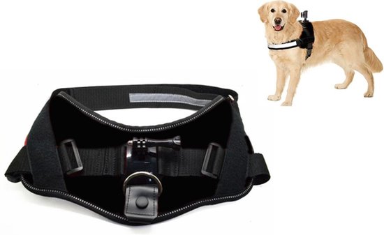 Foto: Activeon 360 dog vest mount