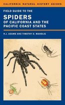 Field Guide To Spiders Of California & T