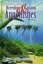 An Informative Guide to Breeding and Raising Angelfishes
