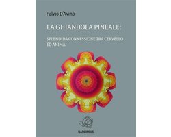 La ghiandola pineale: splendida connessione tra cervello ed anima