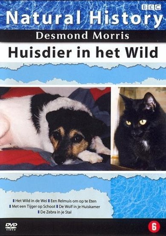Natural History Desmond Morris-Huisdier In Het Wild