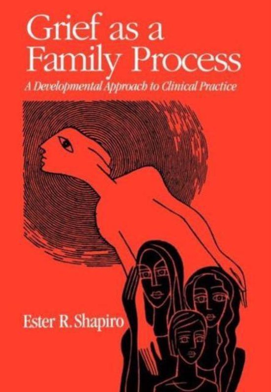 Grief as a Family Process - cover