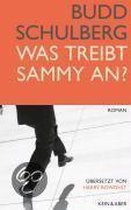 Was treibt Sammy an?