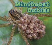 Minibeast Babies