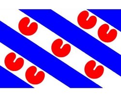 Friese vlag, vlag provincie Friesland 90 x 150