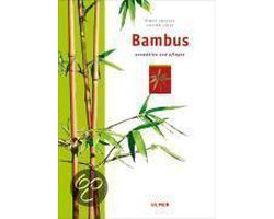 Bambus