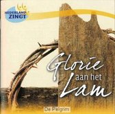 Nederland Zingt - Glorie Aan Het Lam (CD)