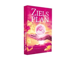 Zielsplan