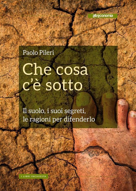 Saggio - Che cosa c'è sotto - cover