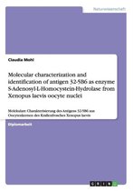 Molecular Characterization and Identification of Antigen 32-5b6 as Enzyme S-Adenosyl-L-Homocystein-Hydrolase from Xenopus Laevis Oocyte Nuclei