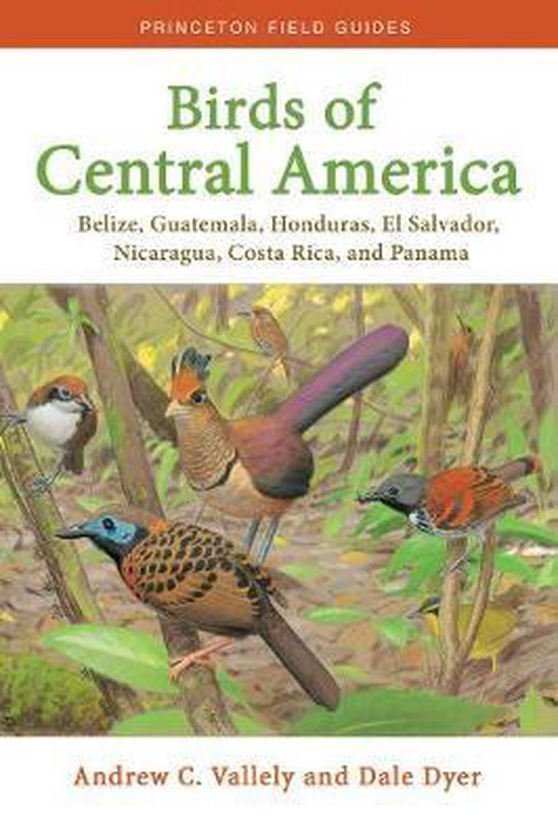 Birds of Central America – Belize, Guatemala, Honduras, El Salvador, Nicaragua, Costa Rica, and Panama - Andrew Vallely