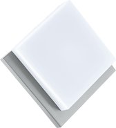 EGLO Infesto 1 - Buitenverlichting - LED - Wand/Plafondlamp - 1 Lichts - Roestvast Staal - Zilver - Wit