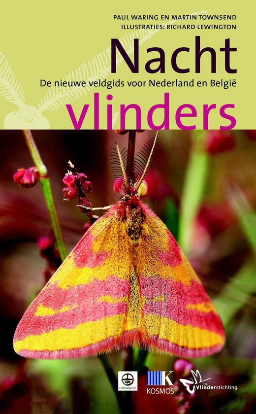 Nachtvlinders - cover