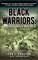 Black Warriors, the Buffalo Soldiers of World War II Memories of the Only Negro Infantry Division to Fight in Europe During World War II - Ivan J Houston