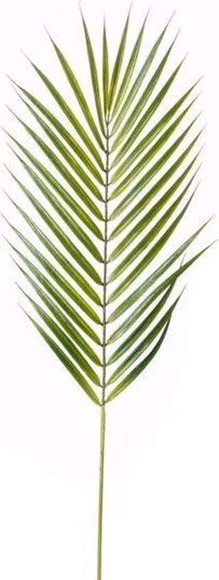 Plante artificielle Chamaedorea feuille de palmier 75 cm - Plante  d'intérieur Plantes... | bol.com