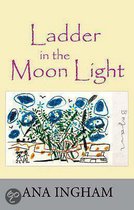 Ladder in the Moon Light