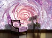 Flowers Rose Nature Photo Wallcovering