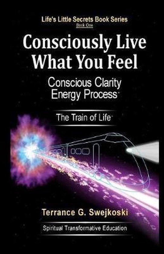 Life's Little Secrets Book- Consciously Live What You Feel - cover
